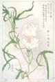 kishun18-02