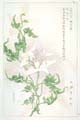 kishun18-04