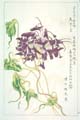 kishun18-07