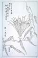 kishun18-20
