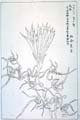 kishun20-11