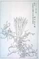 kishun20-14