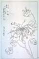 kishun20-21