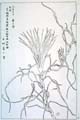 kishun20-24