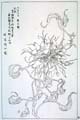 kishun20-26