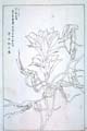 kishun21-18