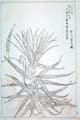 kishun21-24