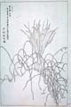 kishun21-29