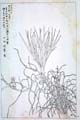 kishun21-34