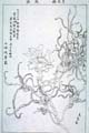 tokyo-t9-38