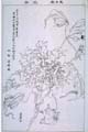 tokyo-t9-39